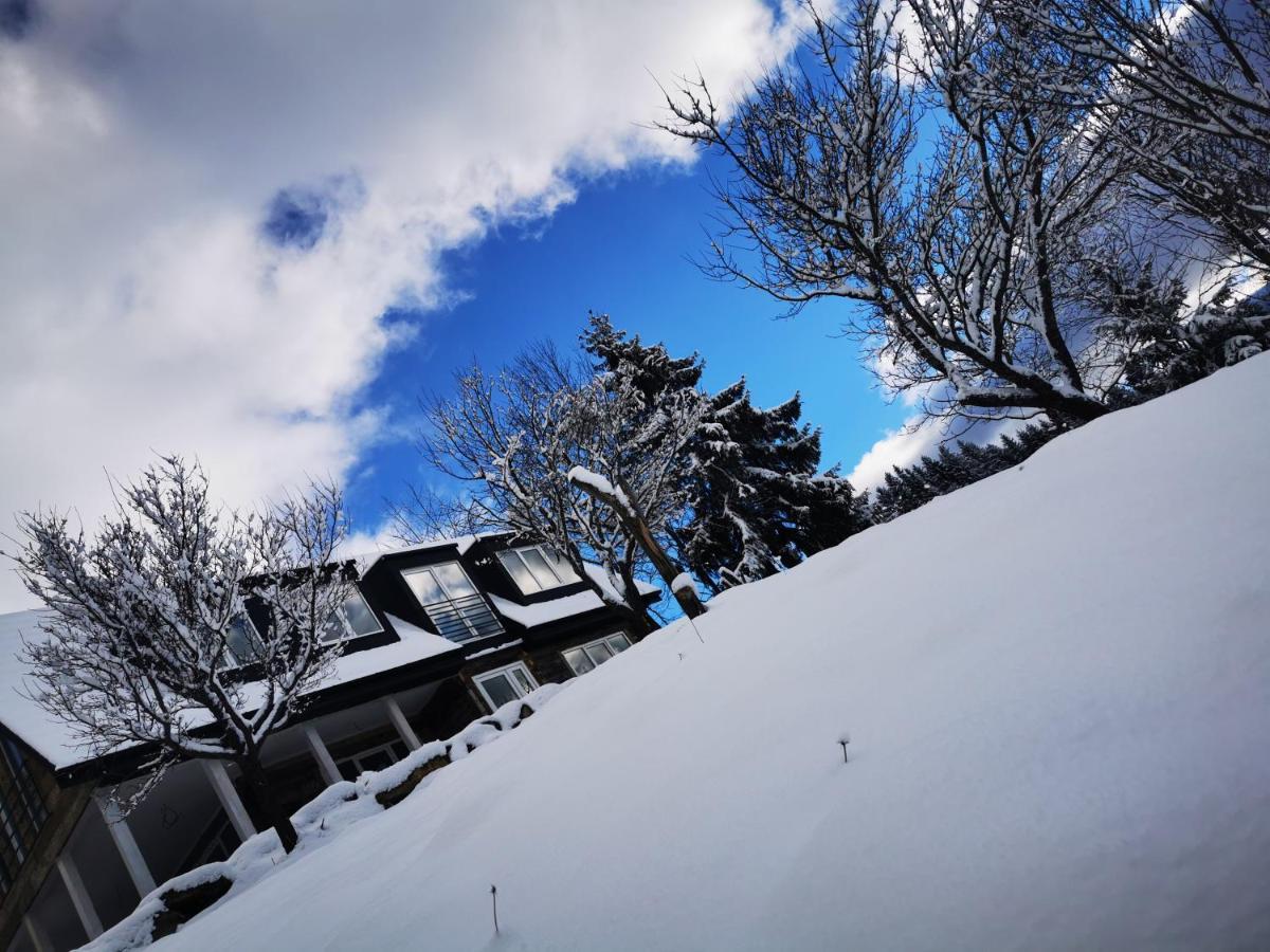 Villa Doinita House Borşa Exterior foto