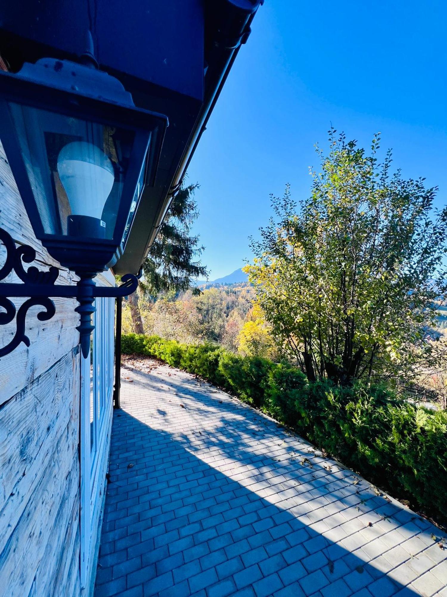 Villa Doinita House Borşa Exterior foto